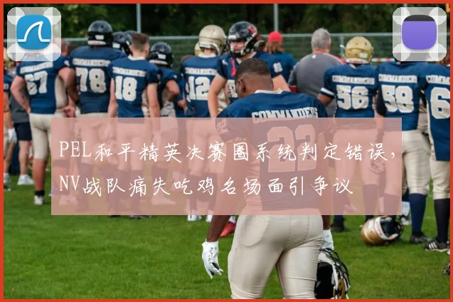 PEL和平精英决赛圈系统判定错误，NV战队痛失吃鸡名场面引争议